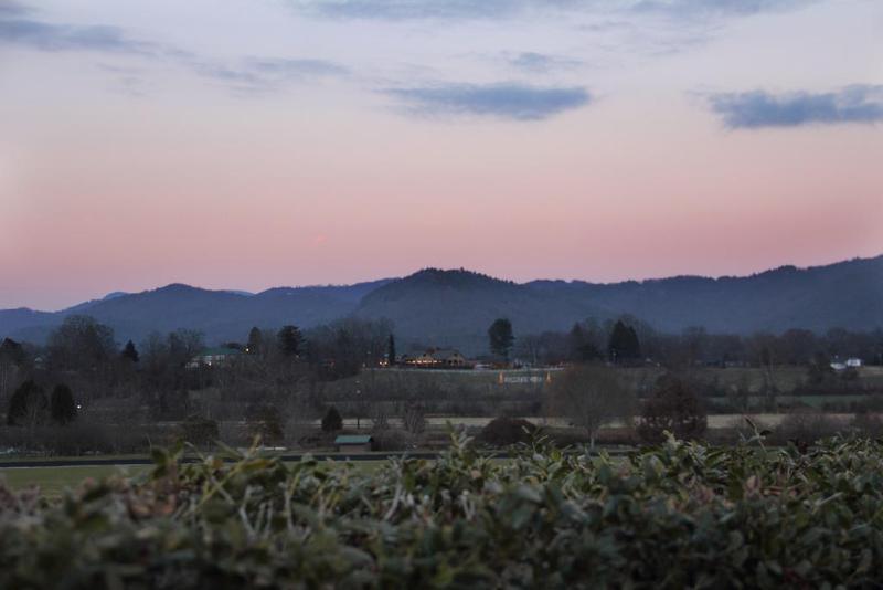 Mountain Valley Inn Dillard Esterno foto